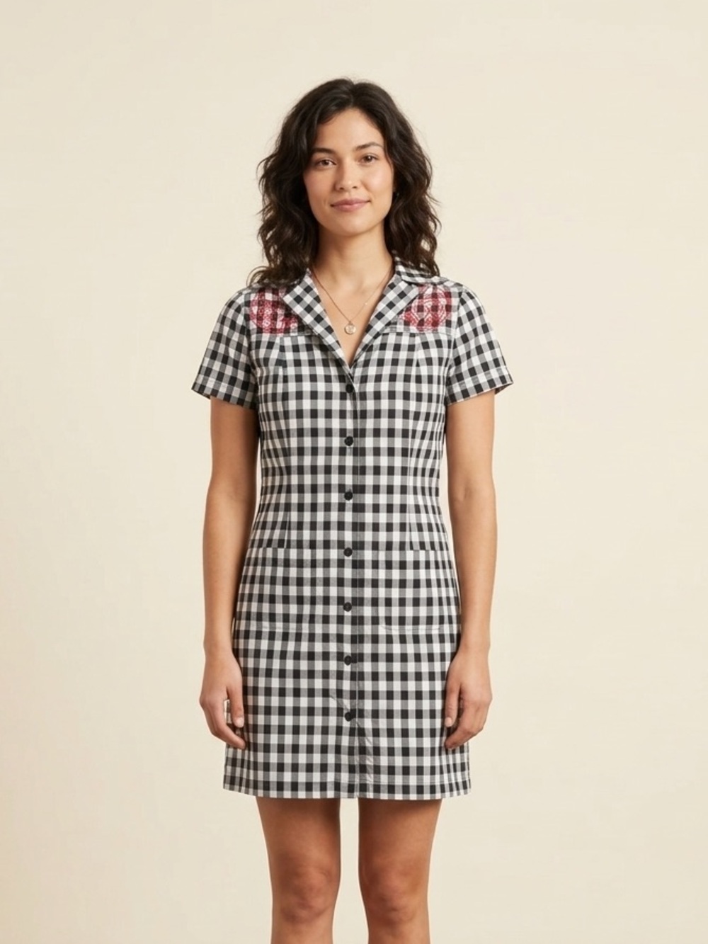 Sourpuss Sz S Gingham Black White Embroidered Button Front Dress